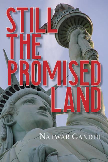 Still the Promised Land book cover
